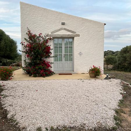 Villa Massidda Country Retreat à Santa Teresa Gallura Extérieur photo